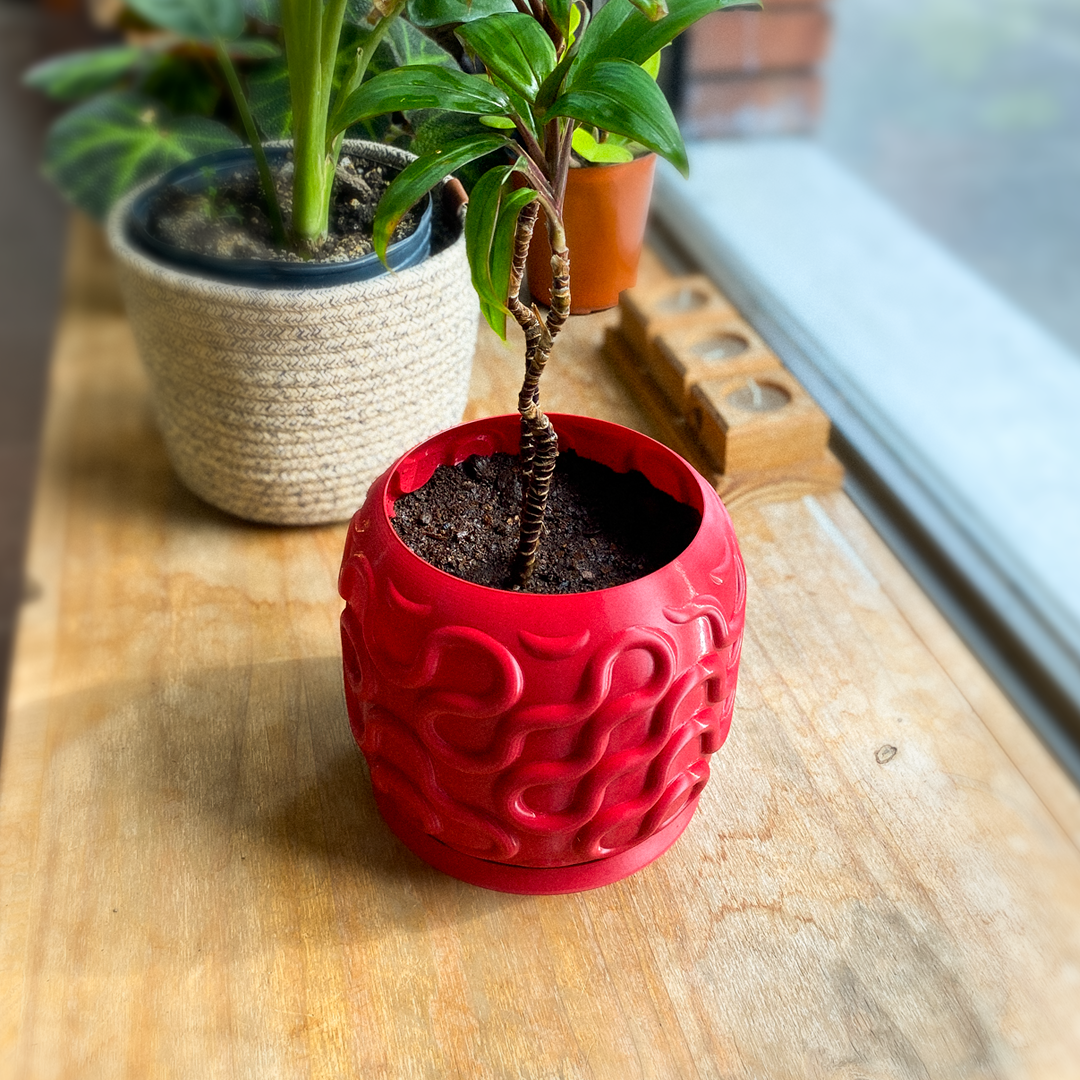 SEAMLESS PLANTER 3 1080